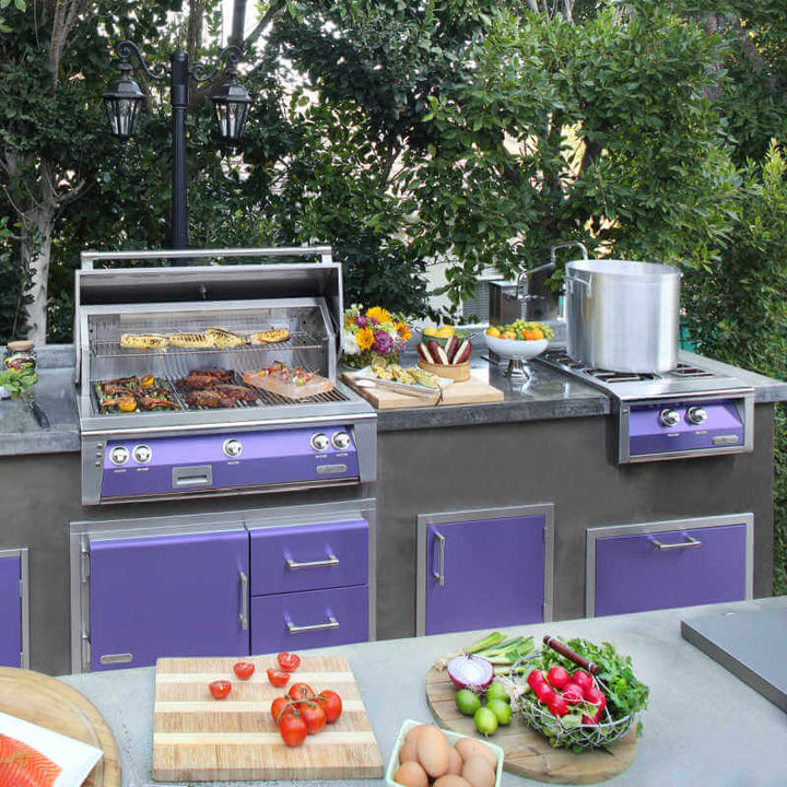 Alfresco 24 Inch Gas Versa Power Cooking System - AXEVP outdoor kitchen empire